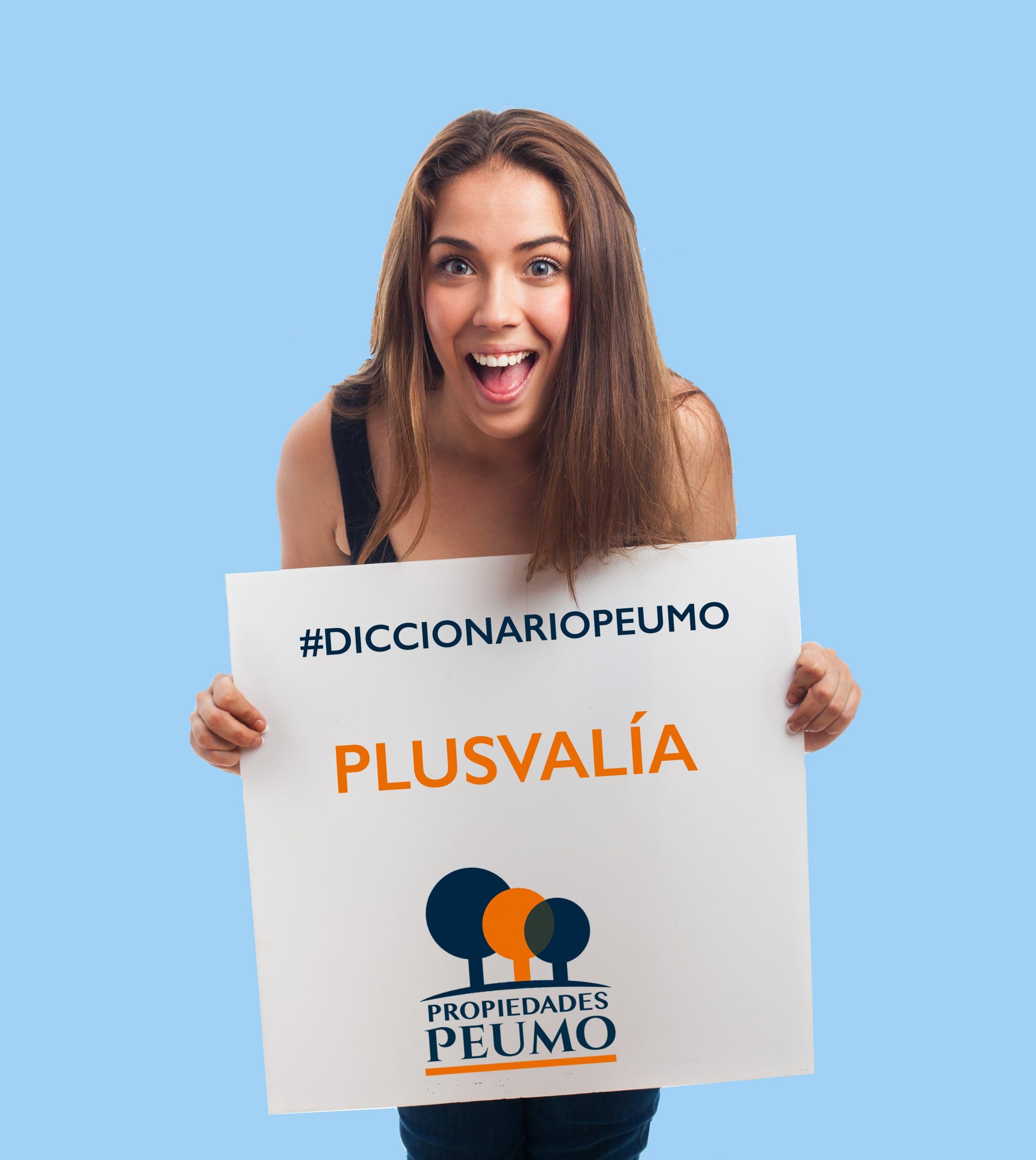 Plusvalía